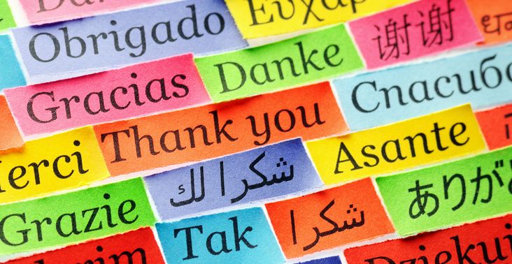 What language